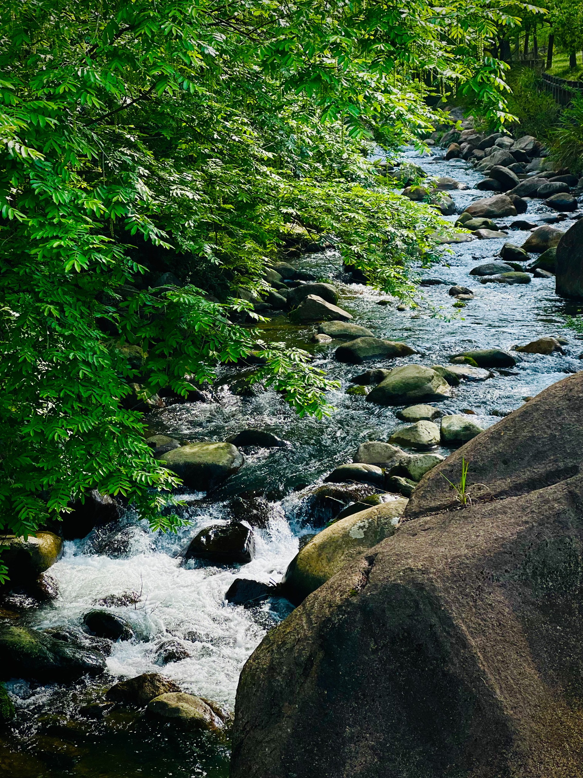 九华山大愿陵园