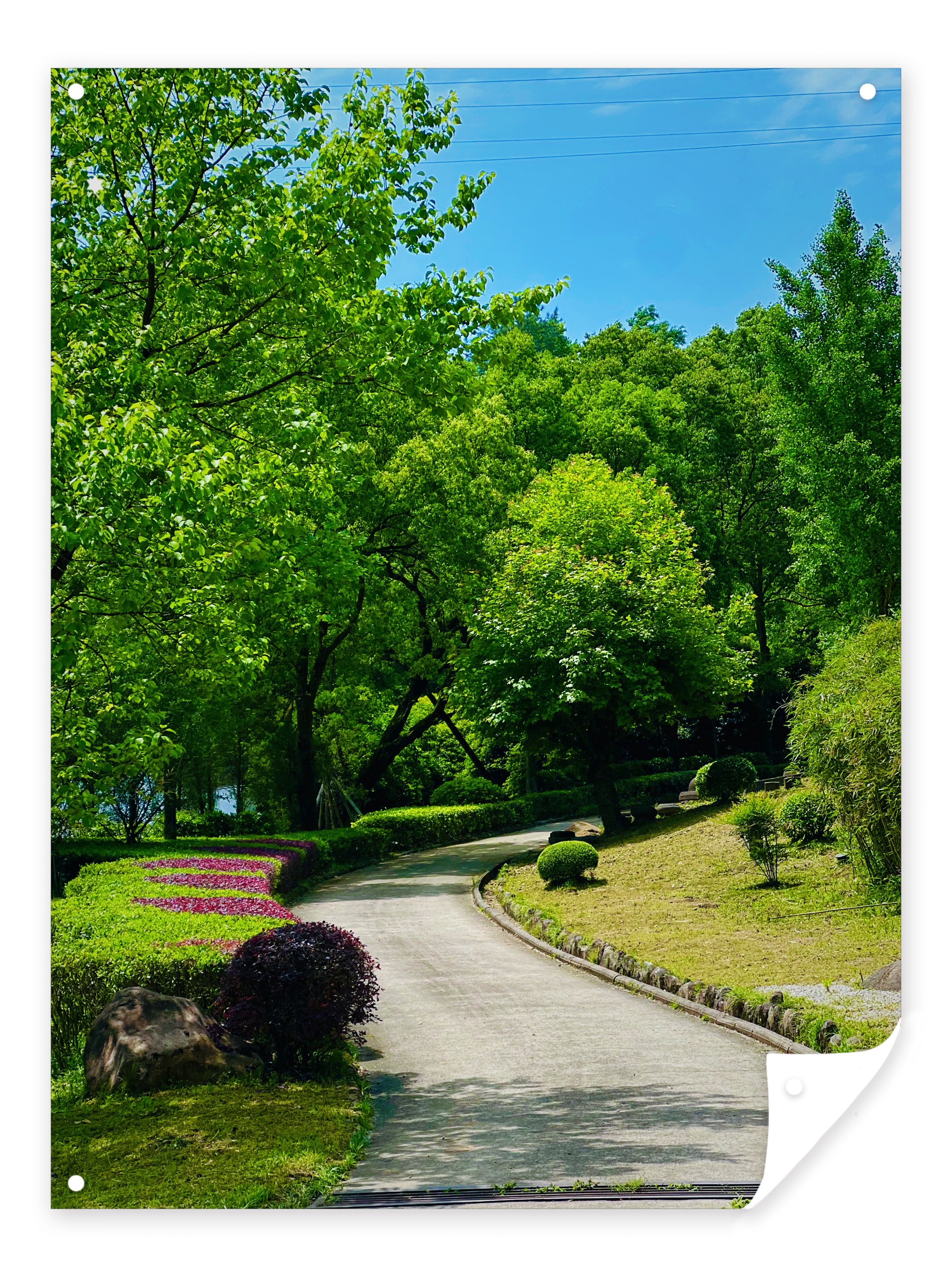 九华山大愿陵园