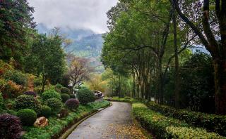 九华山大愿陵园