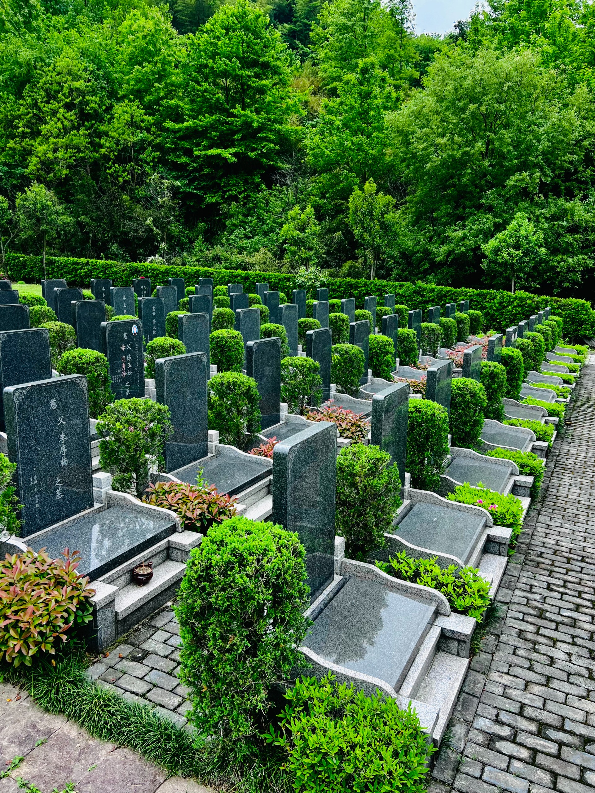 绿地墓碑