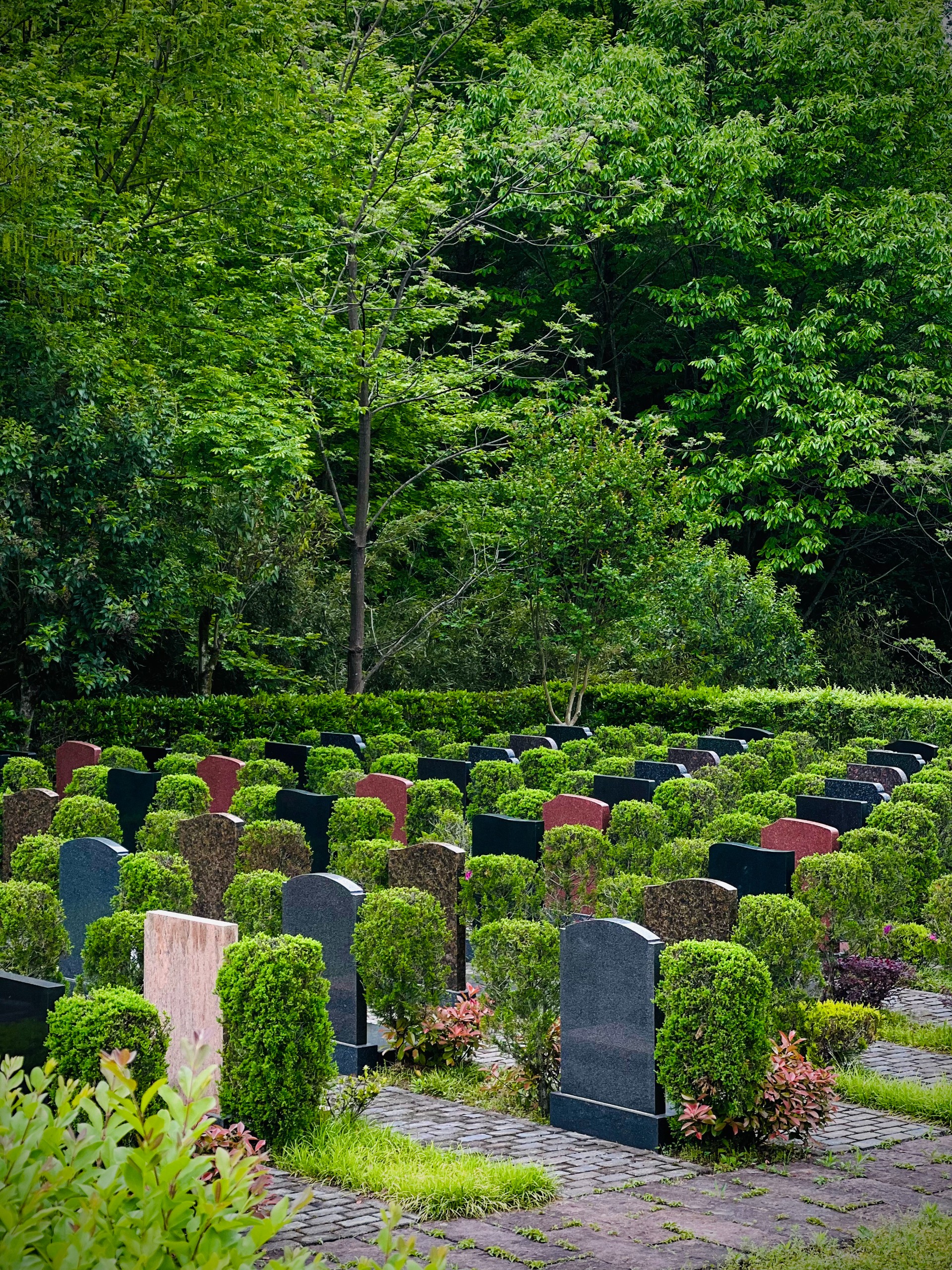 绿地墓碑